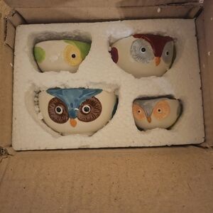 Colorful Owl Ceramic Bowls Set